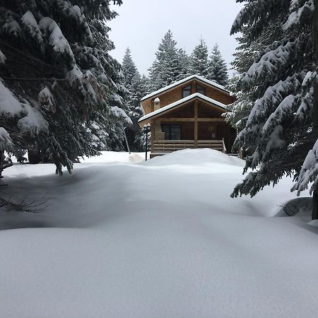 Uludag Orman Koskleri Villa Bursa Kültér fotó