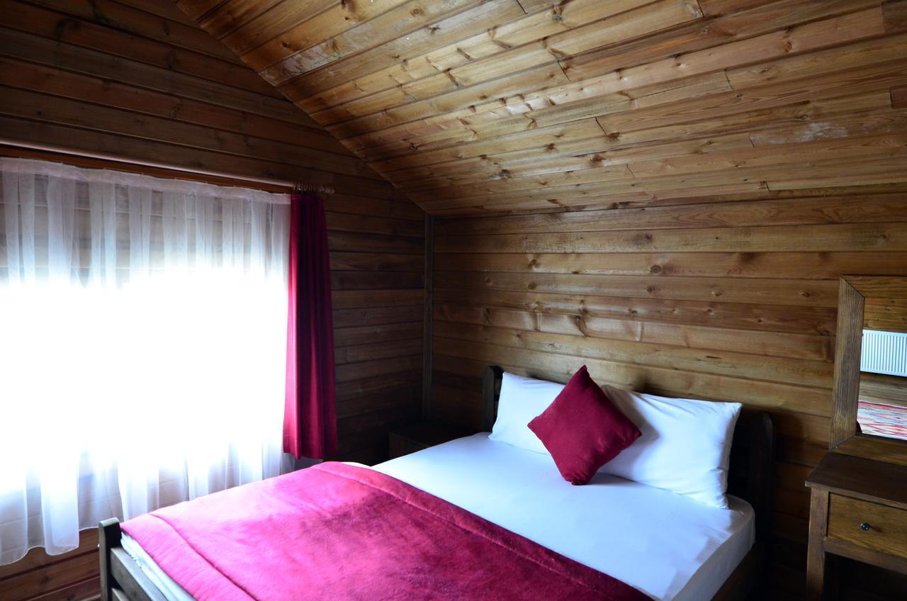 Uludag Orman Koskleri Villa Bursa Kültér fotó
