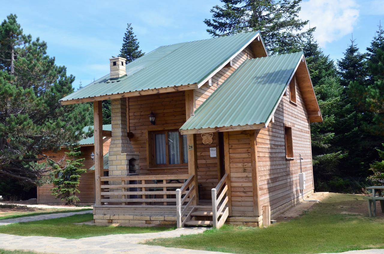 Uludag Orman Koskleri Villa Bursa Kültér fotó