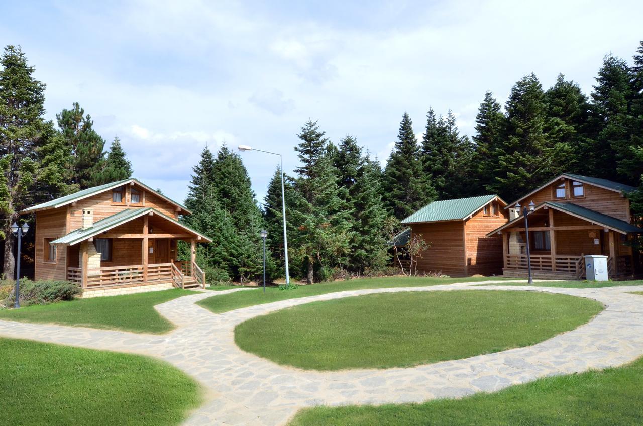 Uludag Orman Koskleri Villa Bursa Kültér fotó