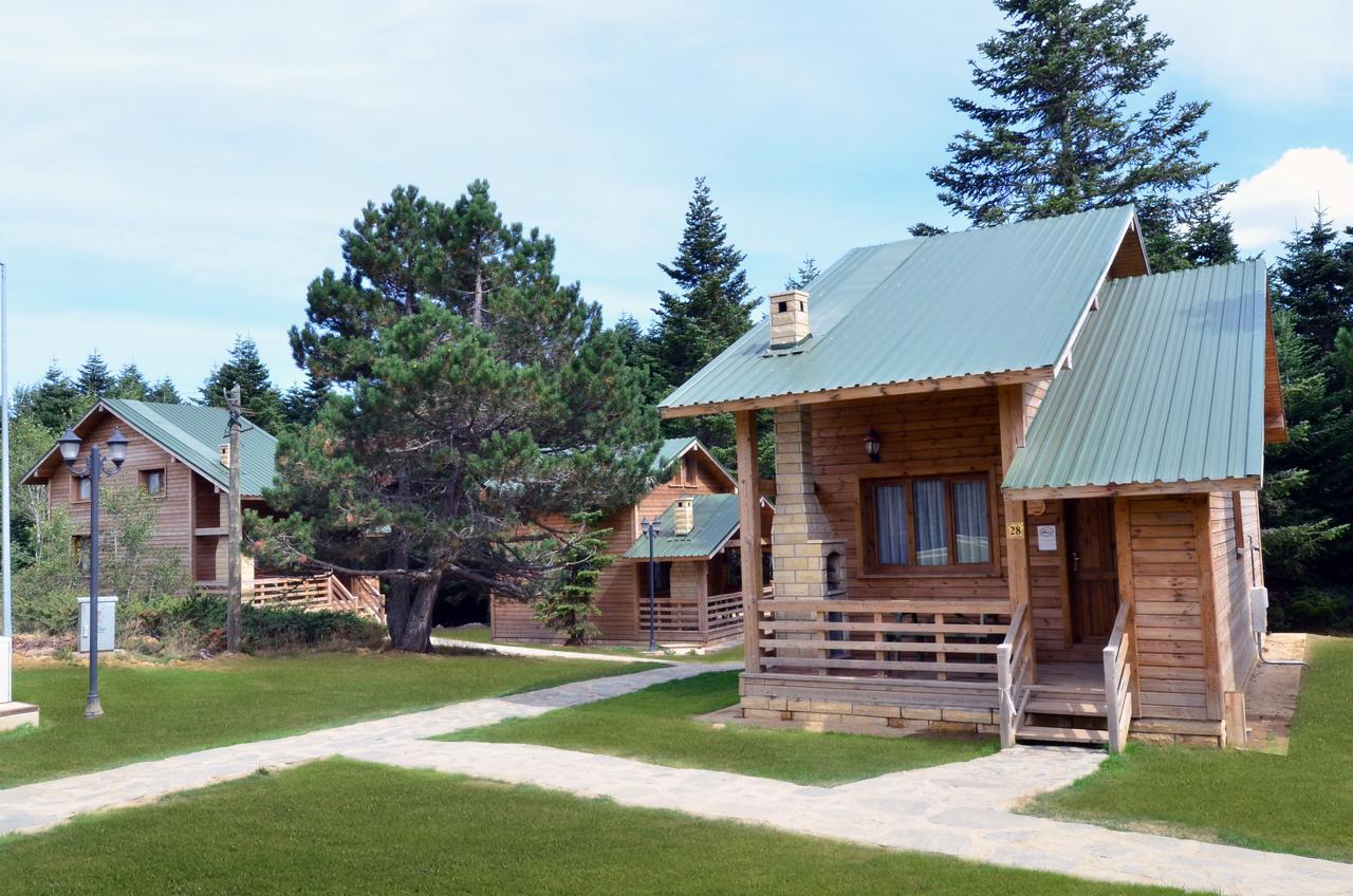 Uludag Orman Koskleri Villa Bursa Kültér fotó