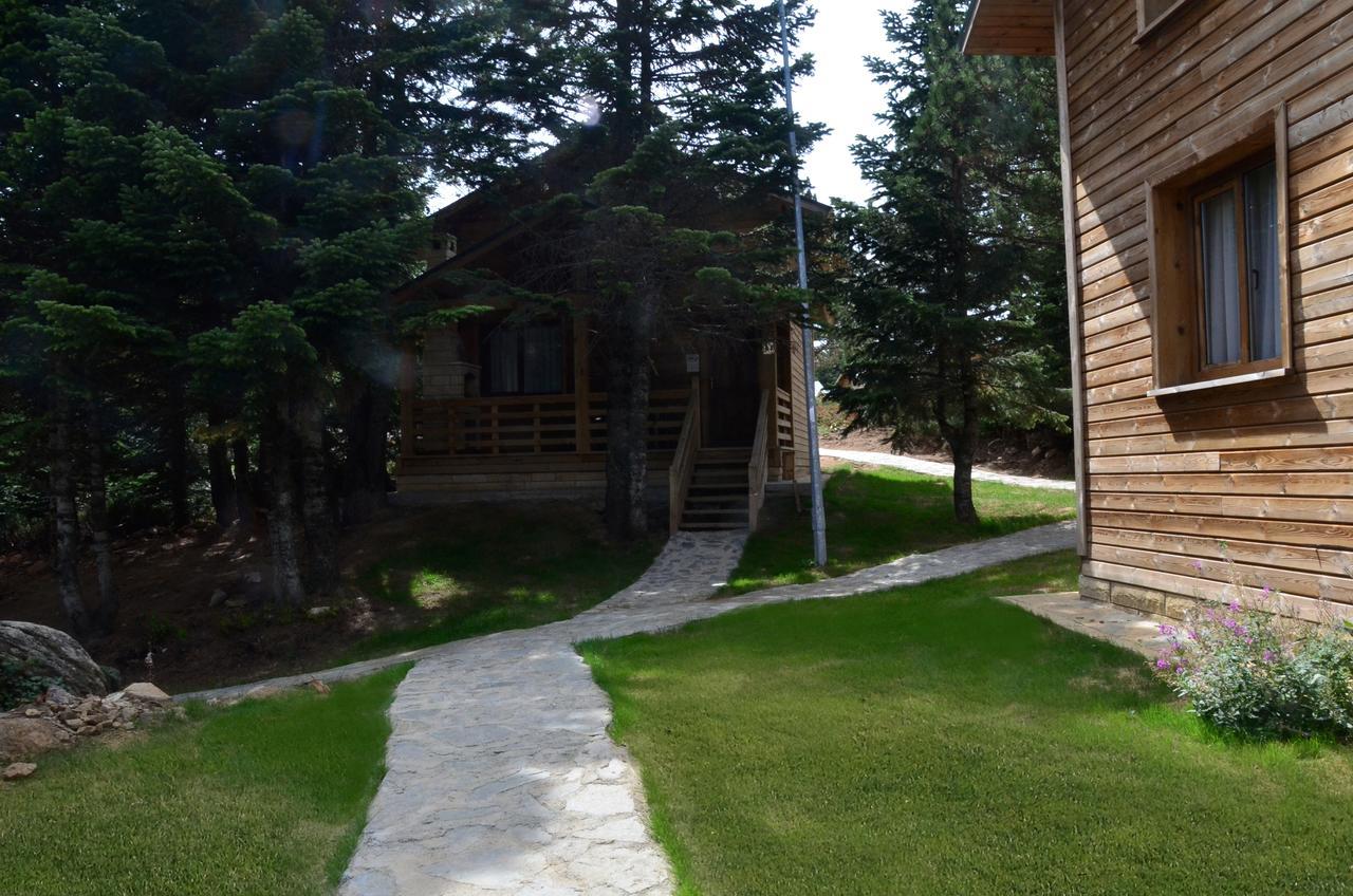 Uludag Orman Koskleri Villa Bursa Kültér fotó
